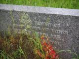image of grave number 909107